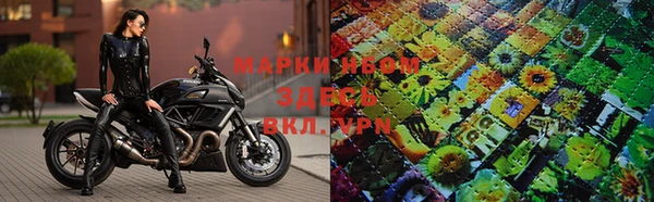ГАЛЛЮЦИНОГЕННЫЕ ГРИБЫ Балахна