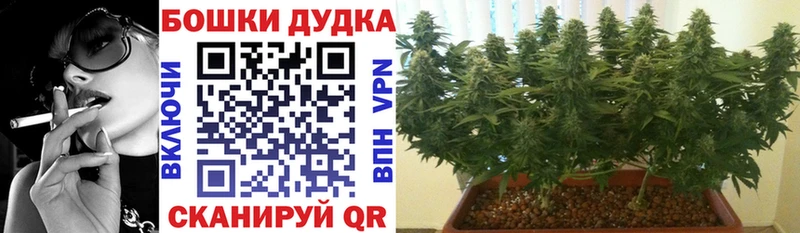 где можно купить   Ульяновск  МАРИХУАНА план 